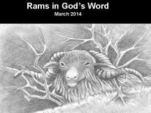 Rams in Gods Word March 2014 Rams in