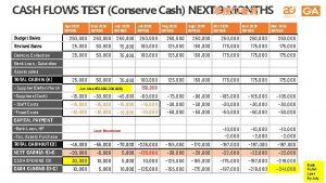 CASH FLOWS TEST Conserve Cash NEXT 9 MONTHS