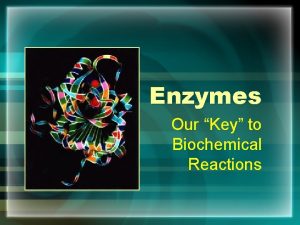 Enzymes Our Key to Biochemical Reactions ENZYMES Proteins