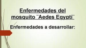 Enfermedades del mosquito Aedes Egypti Enfermedades a desarrollar