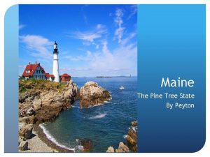 Maine The Pine Tree State By Peyton Specializations