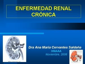 ENFERMEDAD RENAL CRNICA Dra Ana Mara Cervantes Saldaa