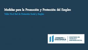 Medidas para la Promocin y Proteccin del Empleo