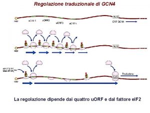 Regolazione traduzionale di GCN 4 La regolazione dipende