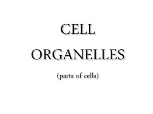 CELL ORGANELLES parts of cells Nucleus Nucleus plant