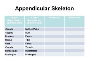 Appendicular Skeleton Upper Appendicular Skeleton Bone Lower Appendicular