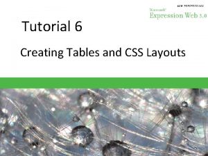 Tutorial 6 Creating Tables and CSS Layouts Objectives