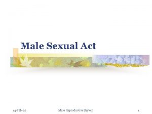 Male Sexual Act 14 Feb22 Male Reproductive System