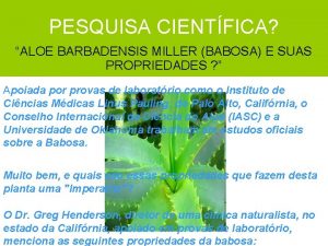 PESQUISA CIENTFICA ALOE BARBADENSIS MILLER BABOSA E SUAS