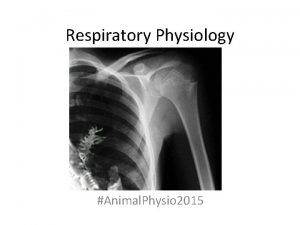 Respiratory Physiology Animal Physio 2015 What is respiration