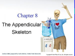 Chapter 8 The Appendicular Skeleton Lecture slides prepared