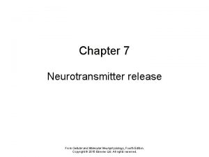 Chapter 7 Neurotransmitter release From Cellular and Molecular