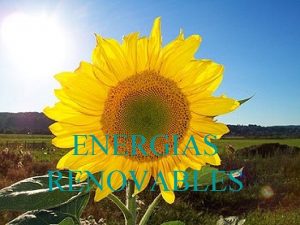 ENERGIAS RENOVABLES Qu son Las energas renovables son