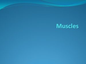 Muscles Types of Muscle Three types of muscle