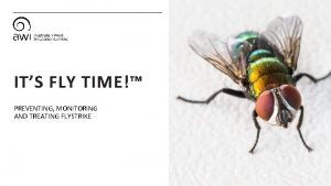 ITS FLY TIME PREVENTING MONITORING AND TREATING FLYSTRIKE