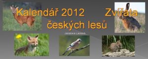 Kalend 2012 Zvata eskch les Jaroslava Lackov Leden