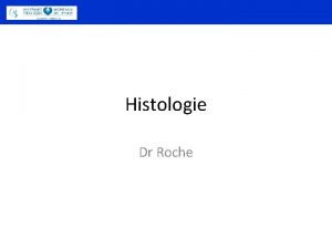 Histologie Dr Roche Les neurones et les influx