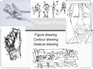 Human Form Figure drawing Contour drawing Gesture drawing