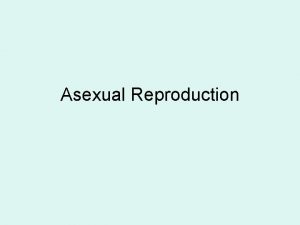 Asexual Reproduction 1 Cell Division Amoebas Asexual Reproduction
