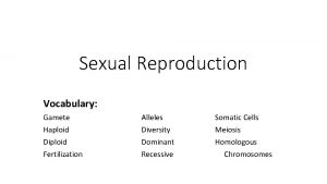 Sexual Reproduction Vocabulary Gamete Haploid Diploid Fertilization Alleles