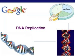 DNA Replication AP Biology 2007 2008 Double helix