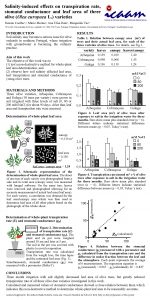 Salinityinduced effects on transpiration rate stomatal conductance and