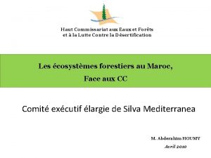 Haut Commissariat aux Eaux et Forts et la