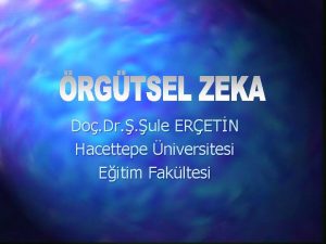 Do Dr ule ERETN Hacettepe niversitesi Eitim Fakltesi