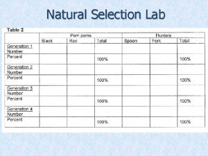 Natural Selection Lab Natural Selection Lab What is