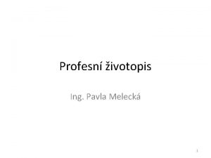 Profesn ivotopis Ing Pavla Meleck 1 Curriculum Vitae