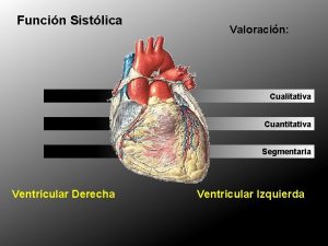 Funcin Sistlica Valoracin Cualitativa Cuantitativa Segmentaria Ventricular Derecha