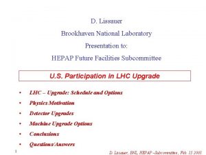 D Lissauer Brookhaven National Laboratory Presentation to HEPAP