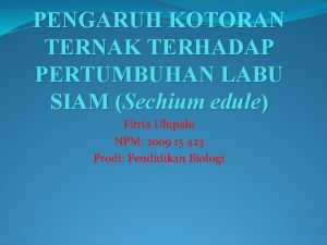 PENGARUH KOTORAN TERNAK TERHADAP PERTUMBUHAN LABU SIAM Sechium