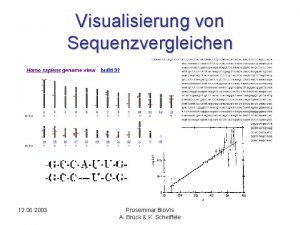 Visualisierung von Sequenzvergleichen 12 06 2003 Proseminar Bio