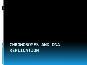 CHROMOSOMES AND DNA REPLICATION DNA and Chromosomes Bacteria