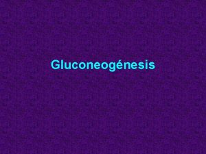 Gluconeognesis Los animales deben mantener estable la concentracin