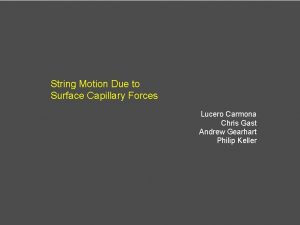 String Motion Due to Surface Capillary Forces Lucero