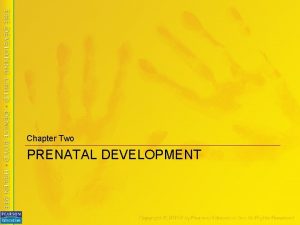Chapter Two PRENATAL DEVELOPMENT Conception and Genetics Conception