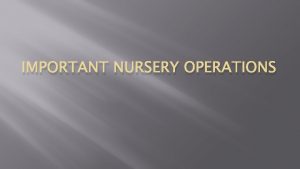 IMPORTANT NURSERY OPERATIONS Operations Tree nursery operations involves