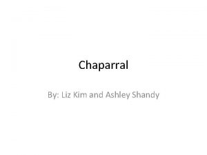 Chaparral By Liz Kim and Ashley Shandy Weather