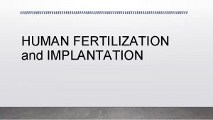 HUMAN FERTILIZATION and IMPLANTATION SPERM CELLMALE GAMETE The