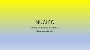 NCLEO Ncleo en reposo o interfsico Ncleo en