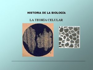 HISTORIA DE LA BIOLOGA LA TEORA CELULAR TEORA