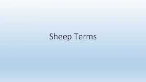 Sheep Terms Male Uncastrated Ram Male Castrated Wether