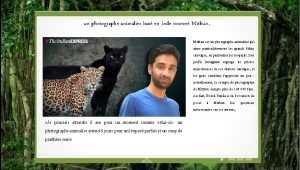 un photographe animalier bas en Inde nomm Mithun