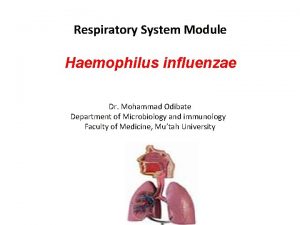 Respiratory System Module Haemophilus influenzae Dr Mohammad Odibate