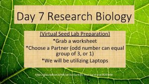 Day 7 Research Biology Virtual Seed Lab Preparation