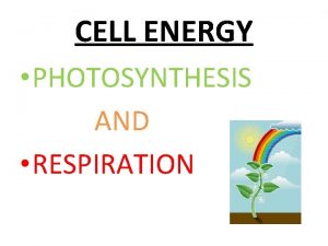 CELL ENERGY PHOTOSYNTHESIS AND RESPIRATION Photosynthesis Photosynthesis is