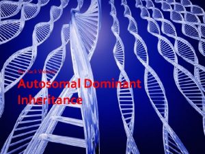 By Jack Wernet Autosomal Dominant Inheritance Autosomal Dominance