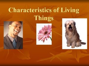 Characteristics of Living Things First Characteristic of Living